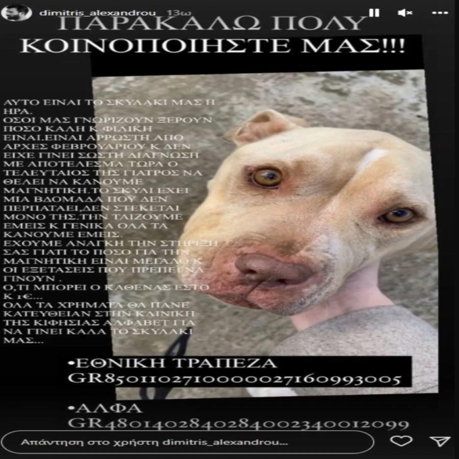 Ο Νίκος μας ράγισε την καρδιά με την πράξη του: Το τεραστιο ποσό που δώρισε ο Κοκλώνης για να σώσει τη ζωή ενός σκύλου