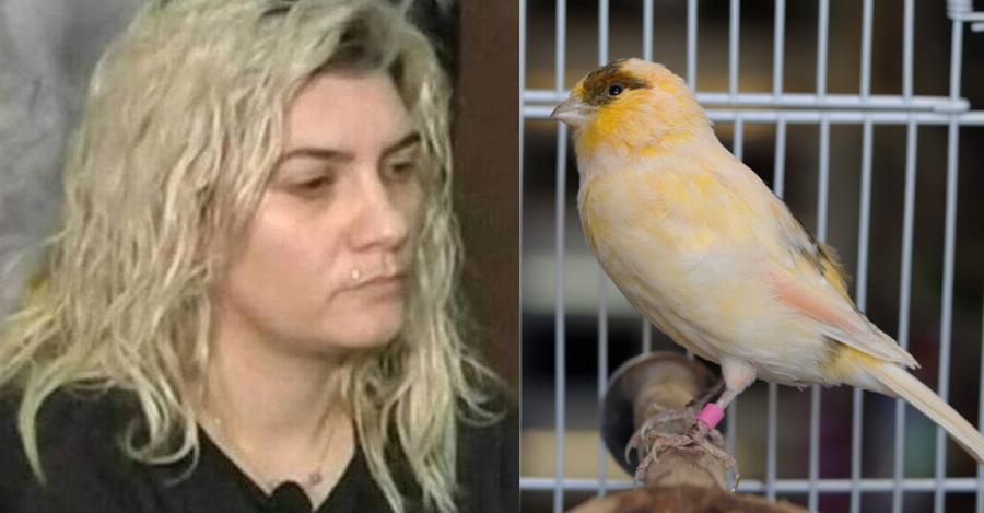 «Εγώ δεν άκουσα κανένα πουλί» είπε η Ρούλα: Πως η Δήμητρα Πισπιρίγκου “πρόδωσε” την αδερφή της