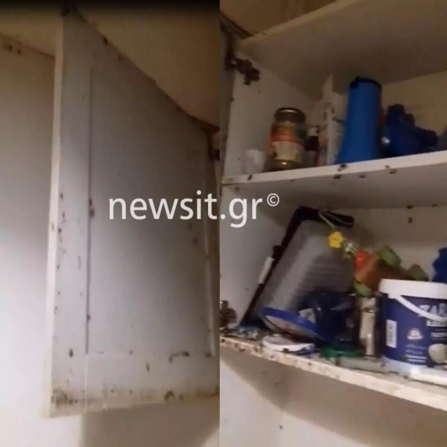 «Ο πατέρας ερχόταν, έτρωγε ξύλο και έφευγε»: Εικόνες μέσα από το σπίτι κολαστήριο στον Άγιο Παντελεήμονα