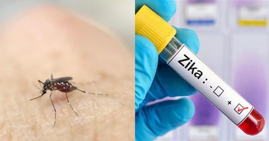 «Μια μετάλλαξη μακριά ο Ζίκα για να γίνει πανδημία»: Μεγάλη ανησυχία από τους επιστήμονες