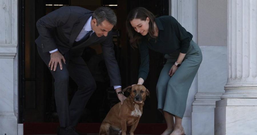 Ο Πίνατ, ο σκύλος – μασκότ του Μεγάρου Μαξίμου υποδέχτηκε τη Φινλανδή πρωθυπουργό