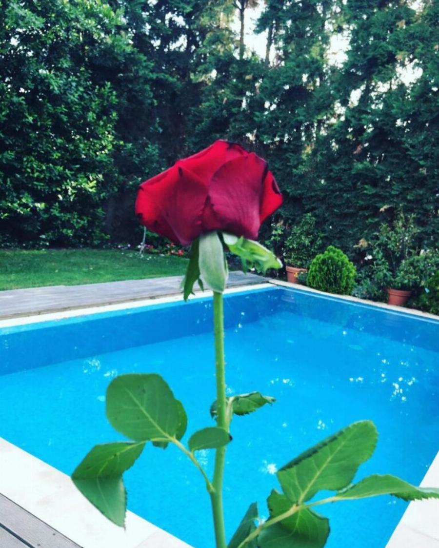 Ρούλα Κορομηλά: Εικόνες από την πολυτελή μεζονέτα της πρώην παρουσιάστριας στην Κηφισιά – Η πισίνα και ο ονειρικός κήπος