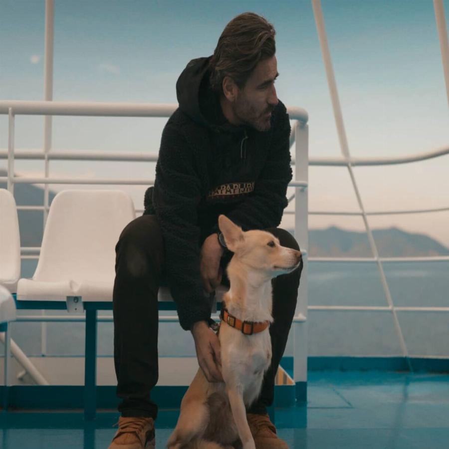 Γάμος Γιώργου Μαυρίδη: Παρανυφάκι η σκυλίτσα του που είχε κακοποιηθεί