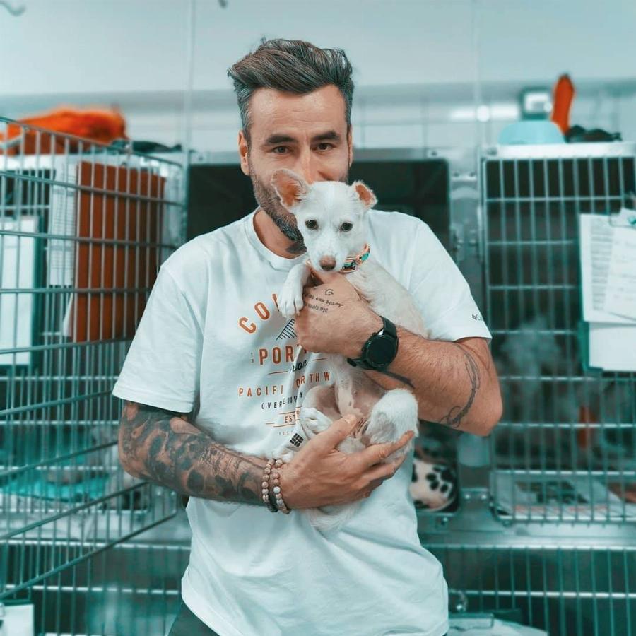 Γάμος Γιώργου Μαυρίδη: Παρανυφάκι η σκυλίτσα του που είχε κακοποιηθεί