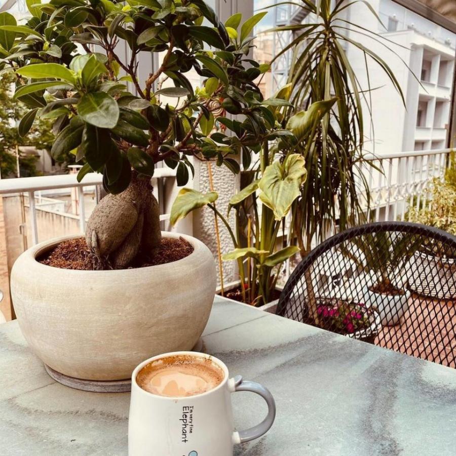 Ελεονώρα Ζουγανέλη: Σπάνιες φωτογραφικό υλικό από το νεοκλασικό σπίτι που ζει με τον άντρα της