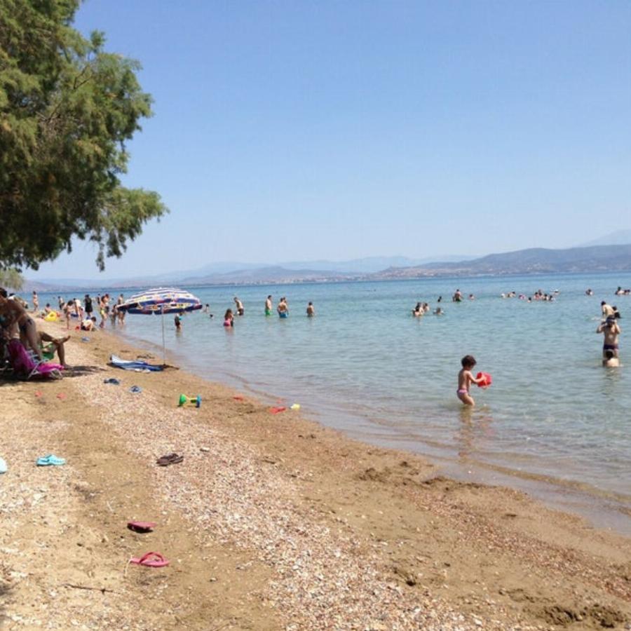 Ασύλληπτη τραγωδία σε Δήλεσι και Πόρτο Ράφτη με 2 νεκρούς: Άντρες πήγαν για μπάνιο στην παραλία και ξεψύχησαν