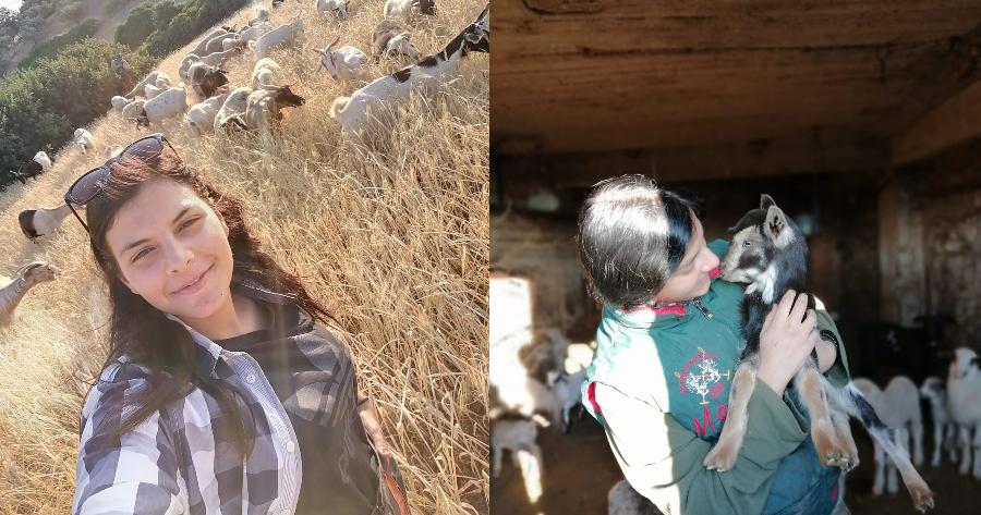 Μαρία Ρέτσα: Η 20χρονη κτηνοτρόφος που ξυπνάει από τα χαραμάτα και βόσκει 100 γιδοπρόβατα στην Εύβοια δίνει το παραδείγμα για την νέα γενιά