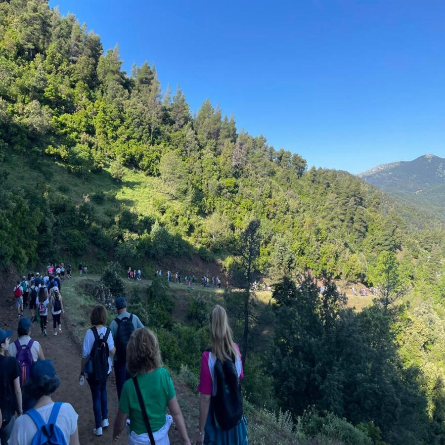 Άγιος Ιωάννης Ρώσος: Χιλιάδες πιστοί περπάτησαν με τα πόδια ως τον ναό του στην Βόρεια Εύβοια