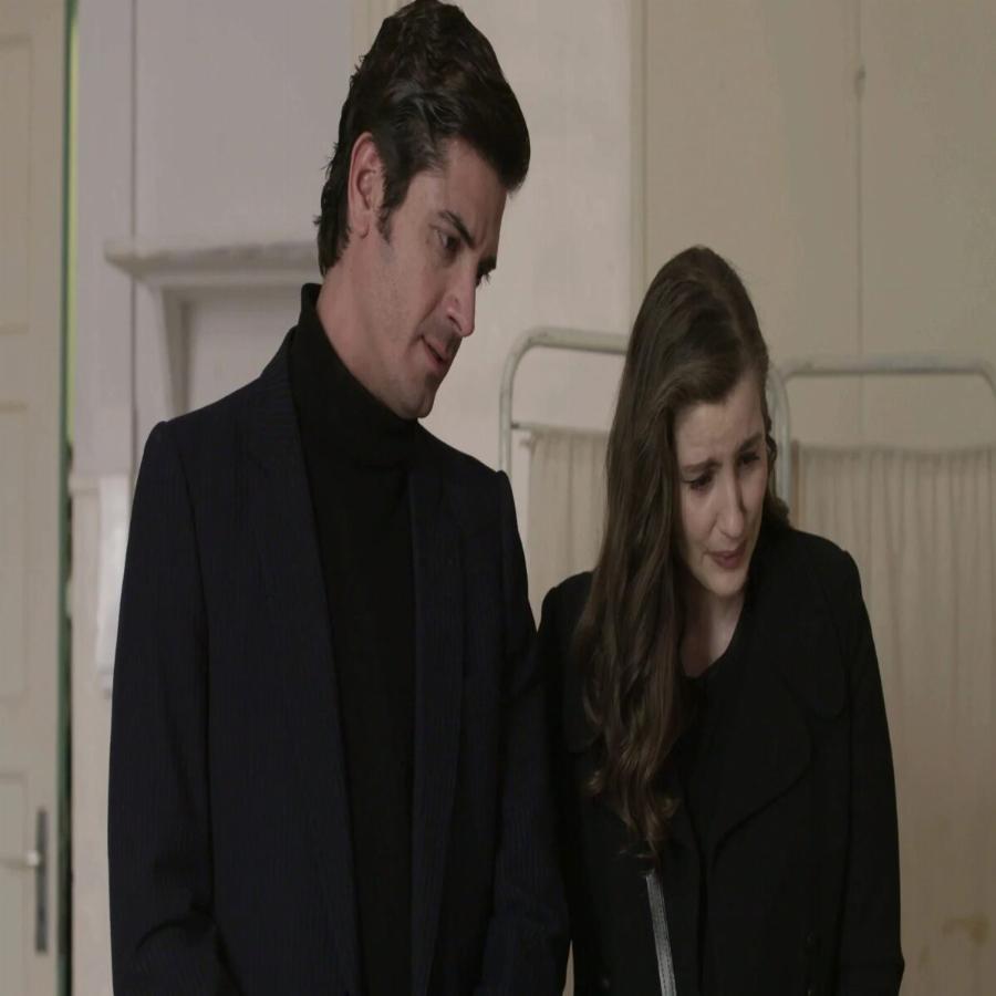 Πέντε ηθοποιοί που αρνήθηκαν να παίξουν στις Άγριες Μέλισσες και μάλλον το μετάνιωσαν