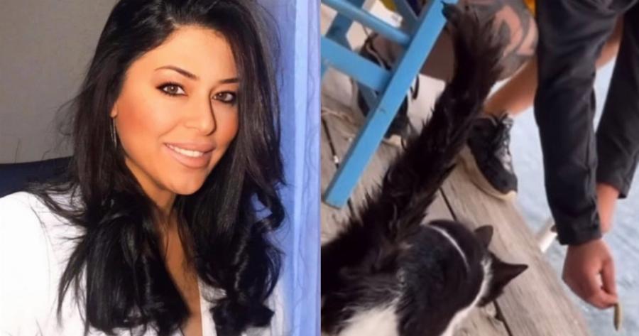 Σκληρή απάντηση της Αφροδίτης Λατινοπούλου στους «πανηγυρισμούς» Θεοδωρικάκου για το περιστατικό της Αιδηψού