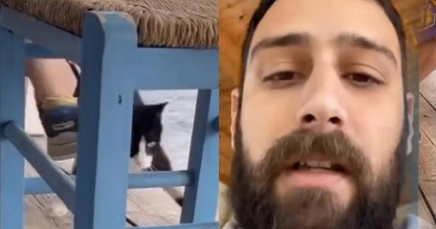 Πανελλήνιος σάλος: Αυτός είναι ο νεαρός που κλώτσησε τη γάτα στην ψαροταβέρνα