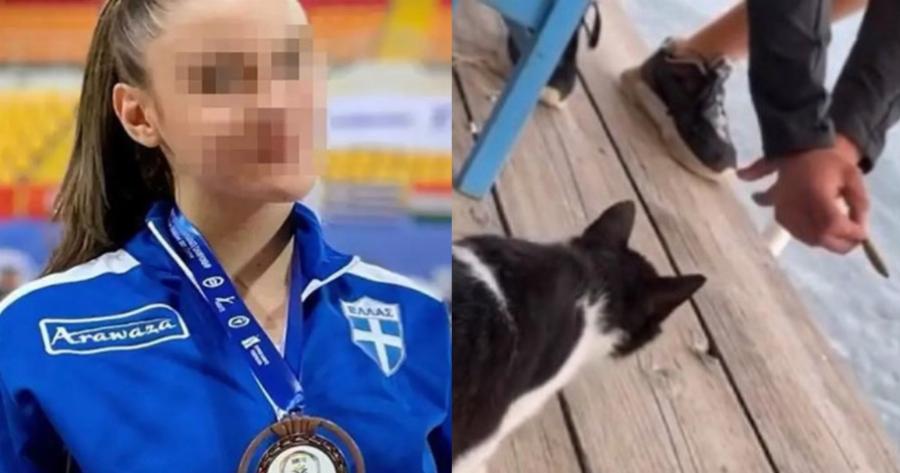 «Όλα έγιναν πίσω από την πλάτη μου»: Το ξέσπασμα της αθλήτριας που εμπλέκεται στην υπόθεση με το γατάκι στην Αιδηψό