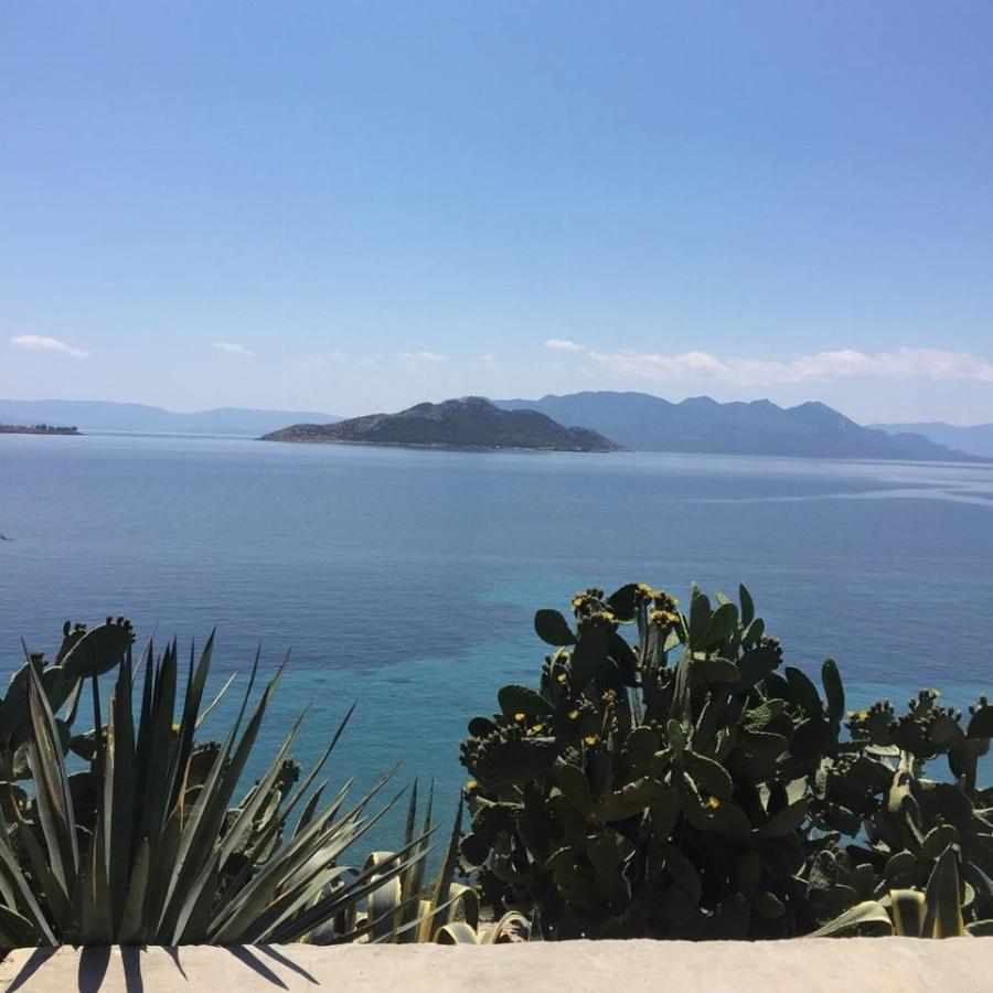 Σμαράγδα Καρύδη – Θοδωρής Αθερίδης: Το απίθανο σπίτι τους στην Αίγινα και το μπαλκόνι με την ονειρική θέα