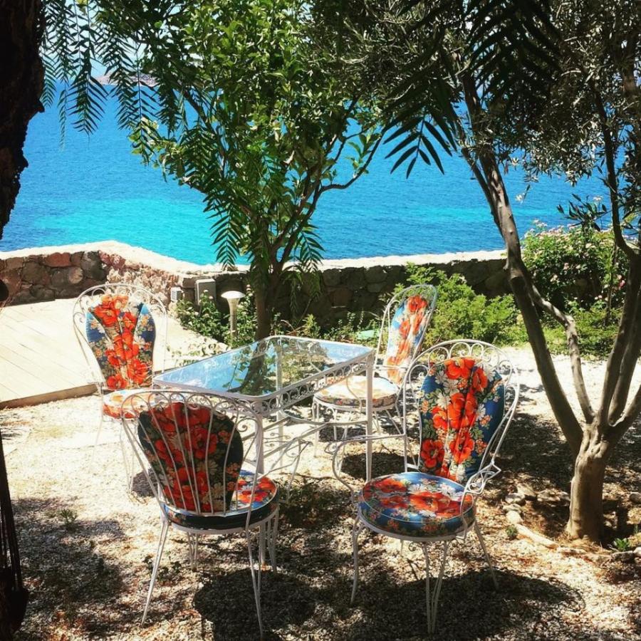 Σμαράγδα Καρύδη – Θοδωρής Αθερίδης: Το απίθανο σπίτι τους στην Αίγινα και το μπαλκόνι με την ονειρική θέα