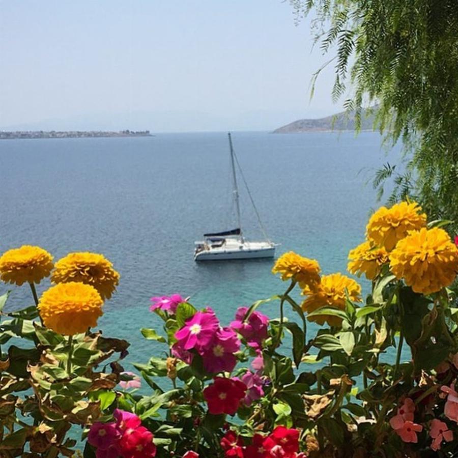 Σμαράγδα Καρύδη – Θοδωρής Αθερίδης: Το απίθανο σπίτι τους στην Αίγινα και το μπαλκόνι με την ονειρική θέα