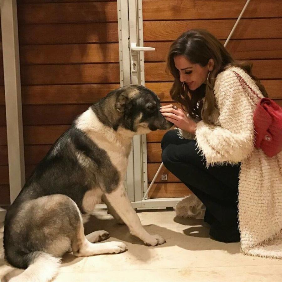 Δέσποινα Βανδή: Το ένα υπέροχο σπίτι στη Βούλα, η εντυπωσιακή διακόσμηση, η τεράστια κουζίνα και ο παραμυθένιος κήπος με την πισίνα