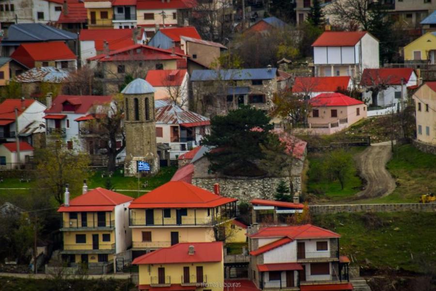 Γρεβενά: 100 χρονών δέντρο μεγαλώνει μέσα σε εκκλησία