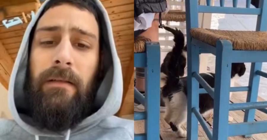 Περιστατικό Αιδηψός: Γνώριμος των Αρχών ο 30χρονος που κλώτσησε το γατάκι σε ψαροταβέρνα