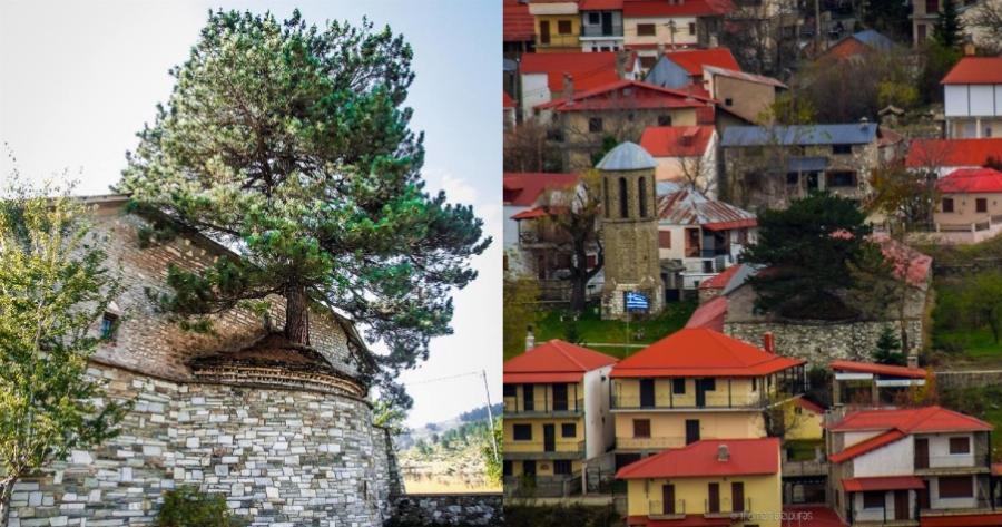 Γρεβενά: 100 χρονών δέντρο μεγαλώνει μέσα σε εκκλησία