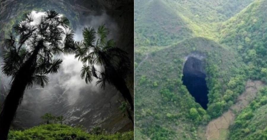 Εξωπραγματικό παρθένο δάσος κρυβόταν στα έγκατα της Γης στην Κίνα