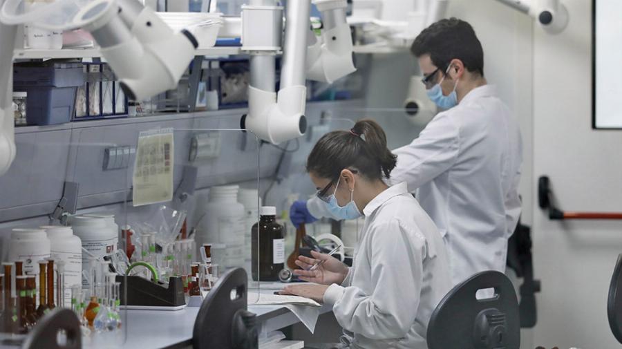 Ξανά μέτρα σε όλο τον κόσμο για την ευλογία των πιθήκων: Αύξηση κρουσμάτων, υποχρεωτική καραντίνα, επιστροφή μάσκας