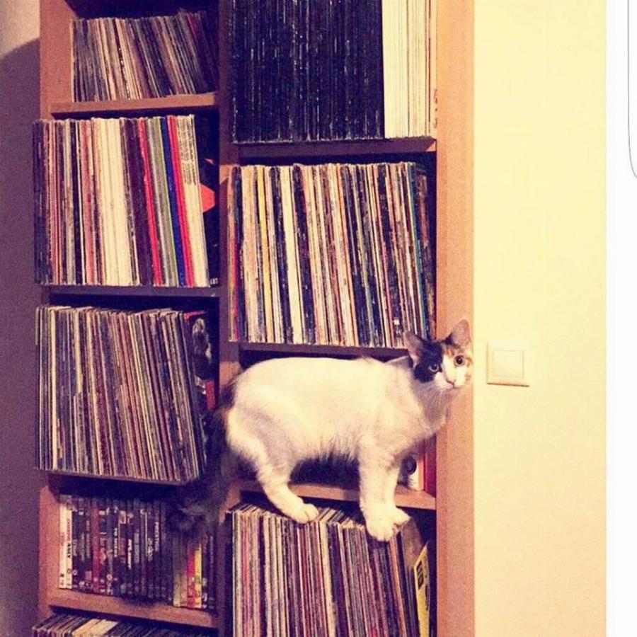 Κατερίνα Στικούδη: Το μαμαδίστικο σπίτι, ο ζεστός χώρος, τα δύο πιάνα στο σαλόνι, που κλέβουν την παράσταση και τα κλασικά έπιπλα