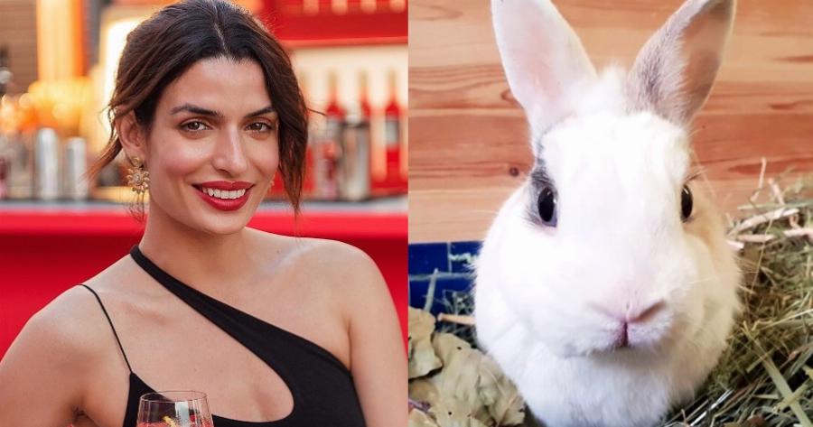 Τόνια Σωτηροπούλου: «Μπορώ να υιοθετήσω 35 κουνέλια και να μην κάνω ποτέ παιδιά»