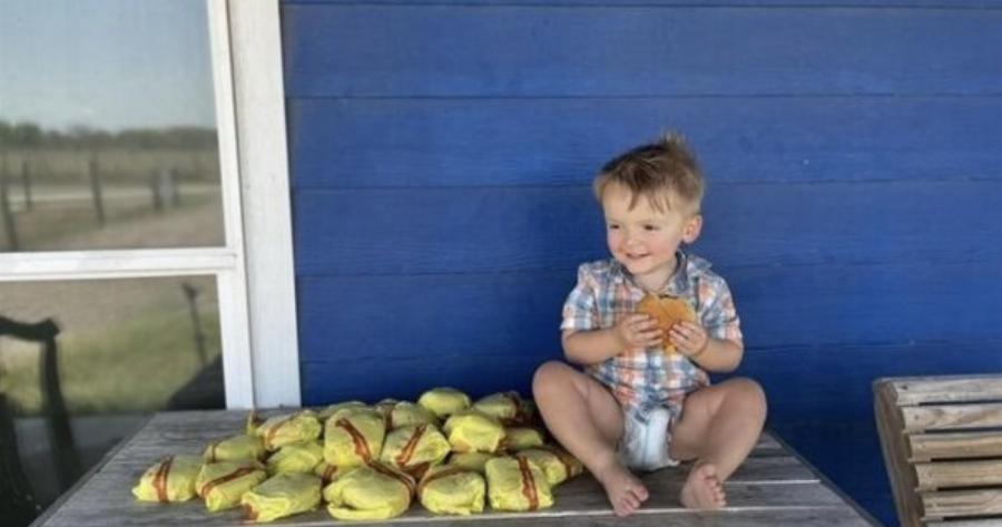 2χρονος βρήκε ξεκλείδωτο το κινητό της μητέρας του και παρήγγειλε 31 cheeseburger