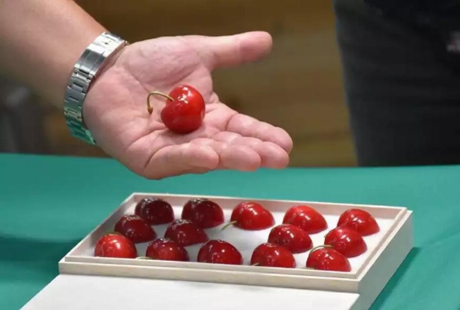 Δεν ξανάγινε: Πουλήθηκαν 15 κεράσια σπάνιας ποικιλίας για 4.100 ευρώ σπάζοντας κάθε ρεκόρ
