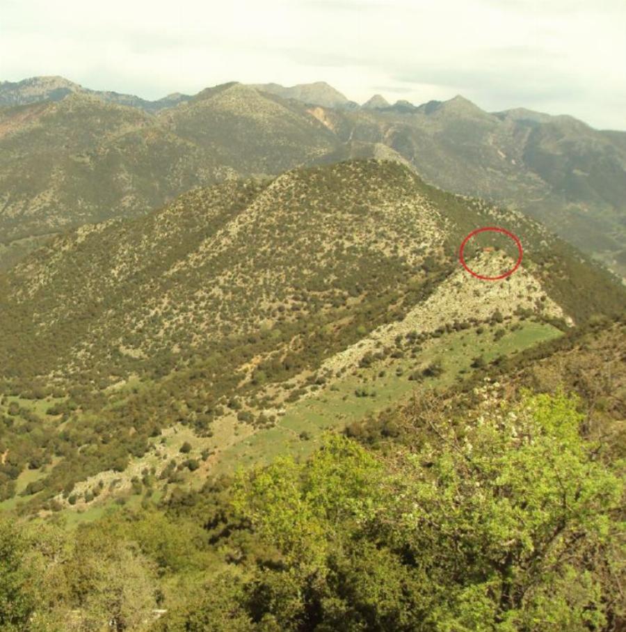 «Τα μεσάνυχτα της αναλήψεως οι ουρανοί ανοίγουν και οι ψυχές κλειδώνονται…»