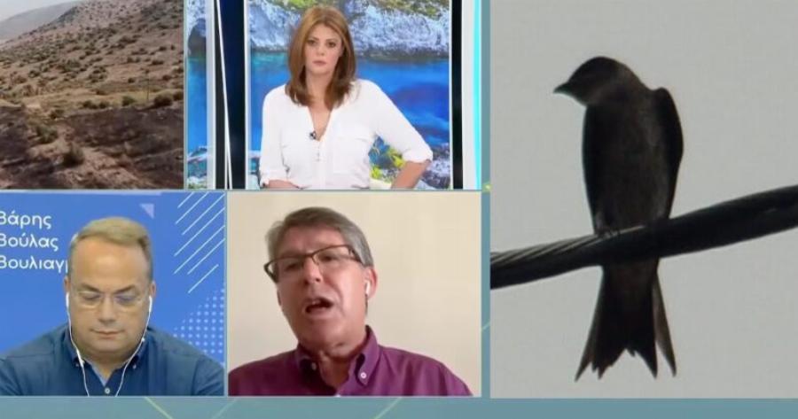 Τι δήλωσε η ΔΕΔΔΗΕ για τη φωτιά στη Βούλα: «Φταίει ένα πουλί, πήραν φωτιά τα φτερά του»