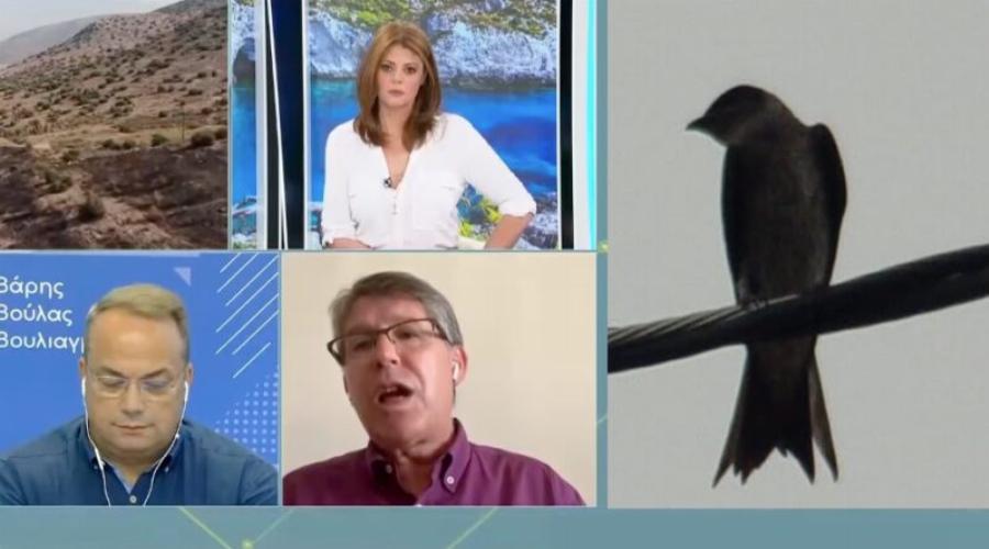 Τι δήλωσε η ΔΕΔΔΗΕ για τη φωτιά στη Βούλα: «Φταίει ένα πουλί, πήραν φωτιά τα φτερά του»