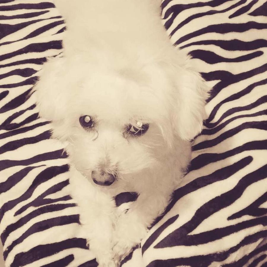 Σοφία Βογιατζάκη: Το κλασικό ελληνικό σπίτι, οι εικόνες Αγίων και η εύχρηστη κουζίνα