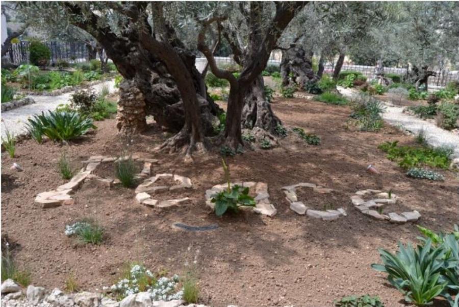 Ιησούς Χριστός: O ιερός τόπος που προσευχήθηκε για τελευταία φορά πριν την μαρτυρική σταύρωση