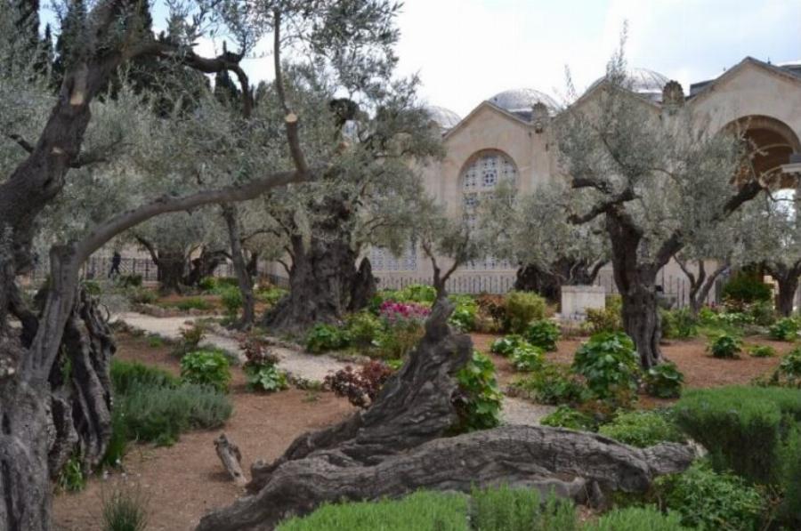 Ιησούς Χριστός: O ιερός τόπος που προσευχήθηκε για τελευταία φορά πριν την μαρτυρική σταύρωση