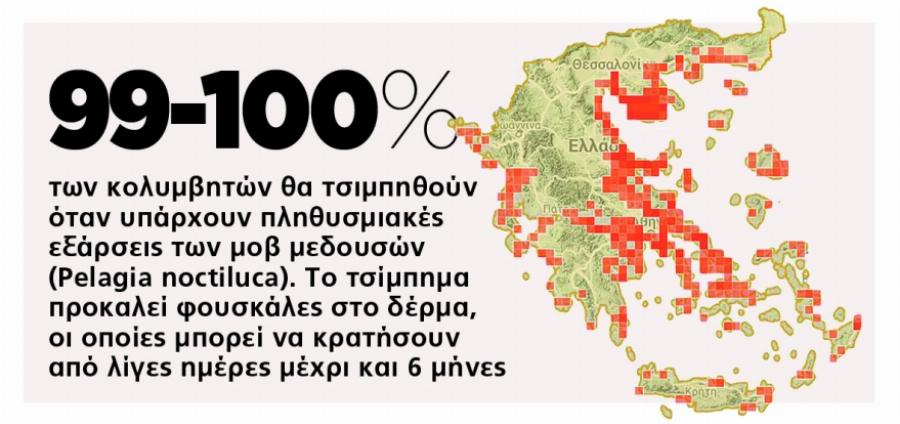Αν σε τσιμπήσει Μωβ Μέδουσα γεμίζεις φουσκάλες που κρατάνε μέχρι και 6 μήνες – Οι πιο επικίνδυνες παραλίες
