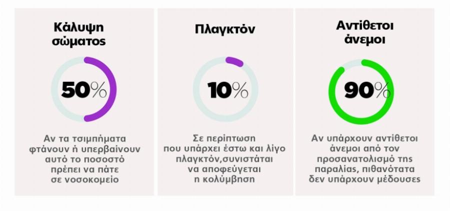 Αν σε τσιμπήσει Μωβ Μέδουσα γεμίζεις φουσκάλες που κρατάνε μέχρι και 6 μήνες – Οι πιο επικίνδυνες παραλίες