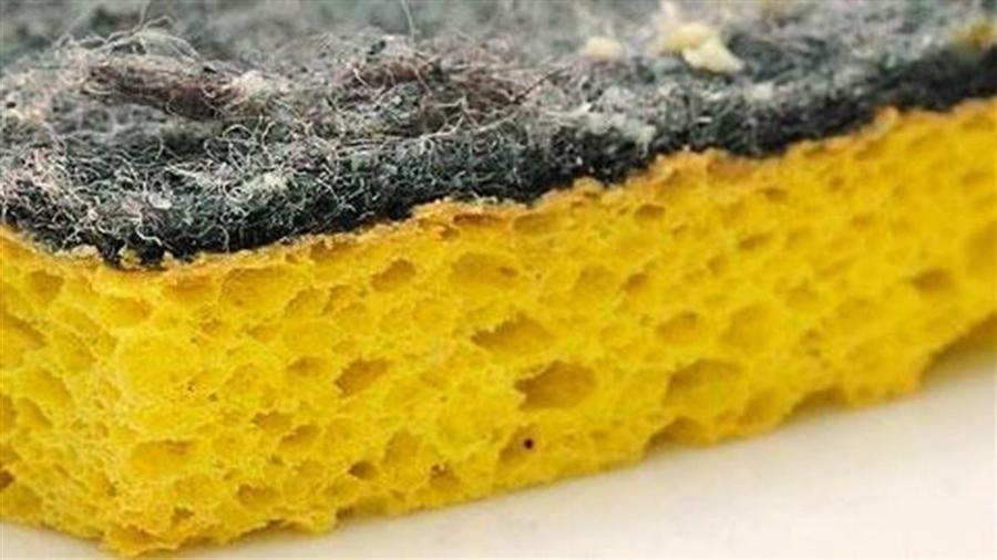 Γρατσουνιές στα ξύλινα έπιπλα: Ο έξυπνος και φυσικός τρόπος για να τις αφαιρέσετε χωρίς έξοδα με ένα μόνο υλικό