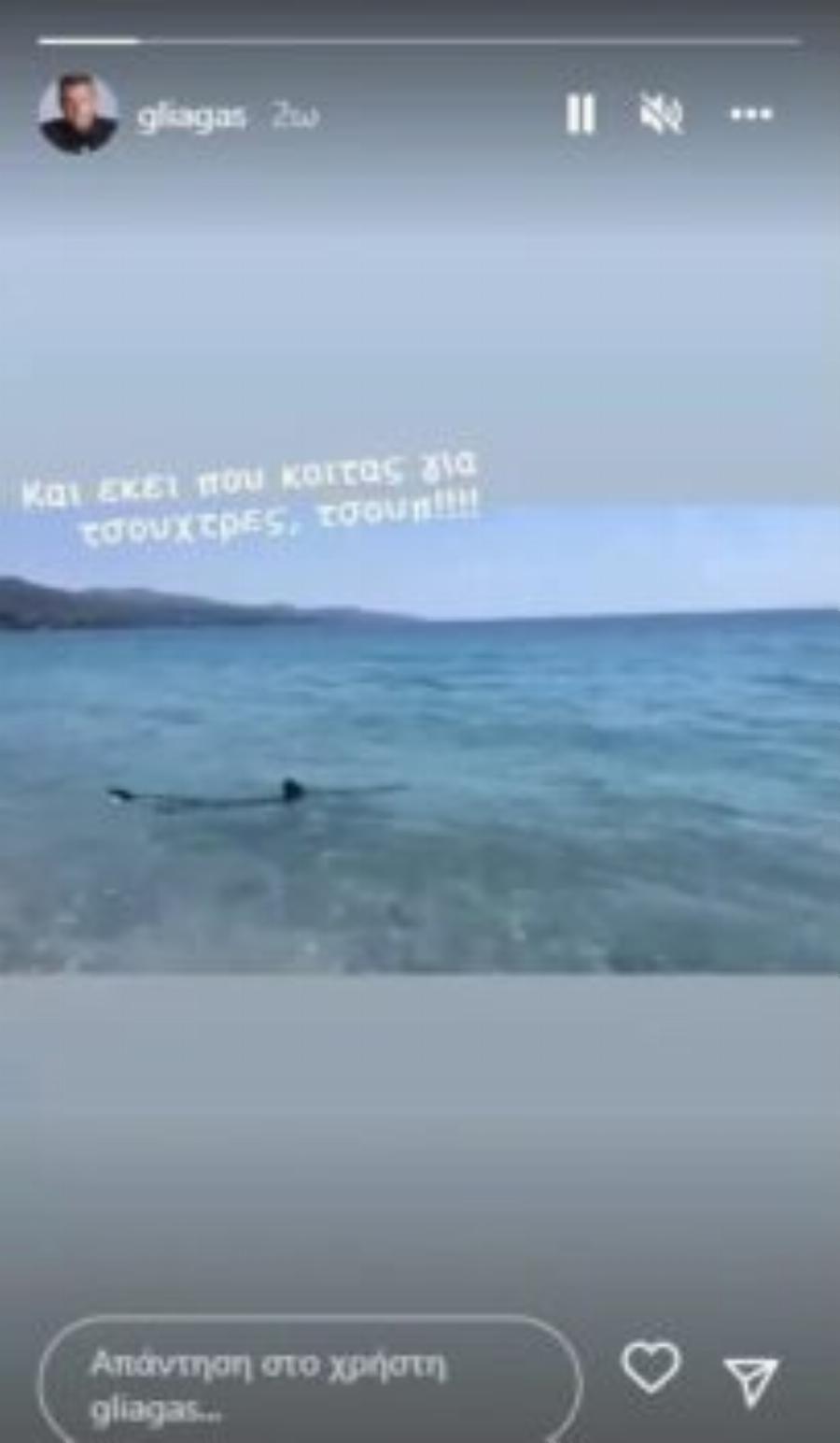 Τα είδε όλα….: Ο Γιώργος Λιάγκας, ήρθε δίπλα δίπλα με καρχαρία με το σκάφος του