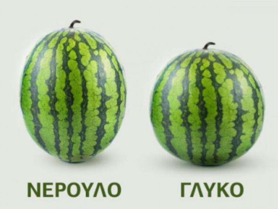 Καρπούζι: Αυτά είναι τα 5 μυστικά του μανάβη – Τα  κόλπα για να διαλέγεις το καλύτερο καρπούζι