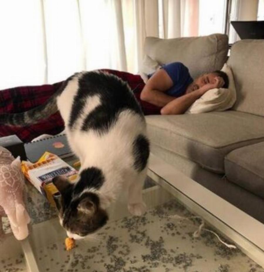 Γιώργος Καπουτζίδης: Το εργένικο σπίτι, η σύγχρονη διακόσμηση και η εντυπωσιακή τραπεζαρία