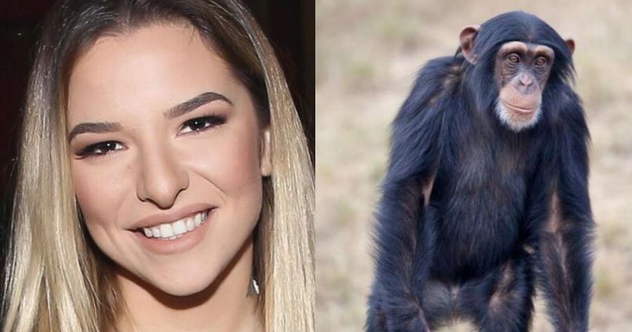 Ξεσπάει η Εριέττα Κούρκουλου:“Αυτό που κάνατε λέγεται «δολοφονία»” – Οργή για Αττικό Ζωολογικό Πάρκο