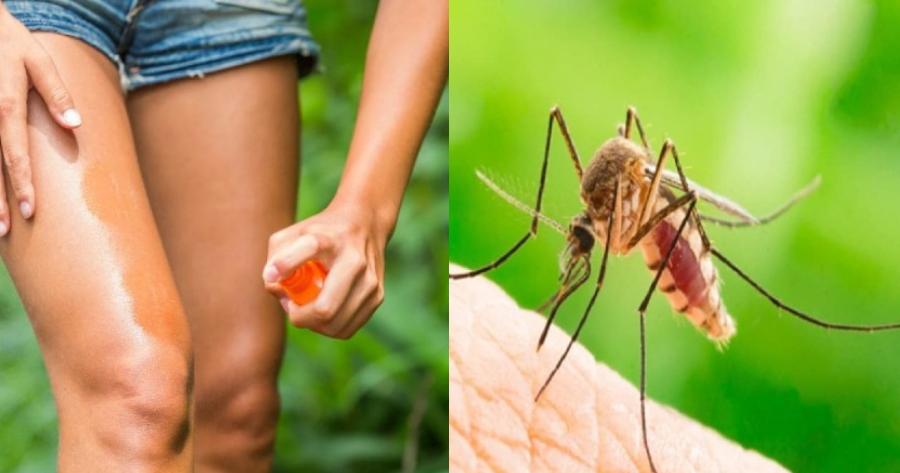 Σπιτική συνταγή: Εξαφανίστε τα κουνούπια μια για πάντα με φυσικά υλικά