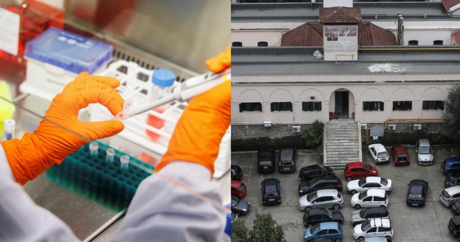 Ανησυχία μετά το πρώτο κρούσμα “Ευλογιάς των πιθήκων” στην Ελλάδα