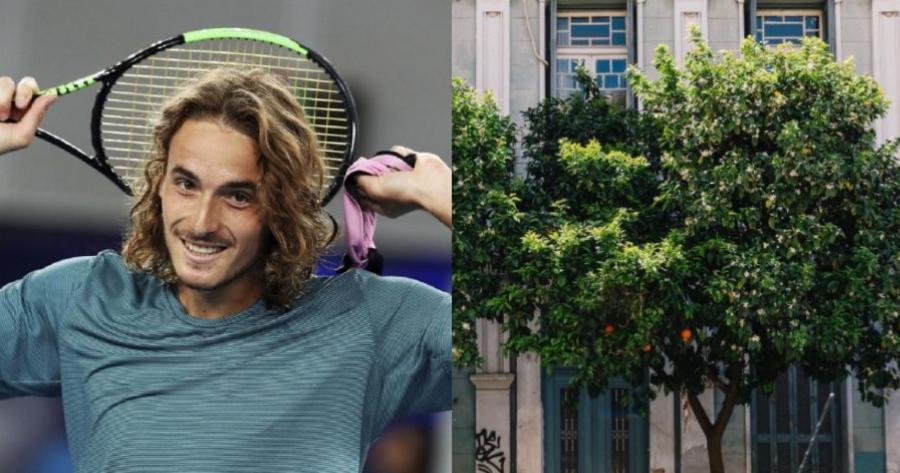 Στέφανος Τσιτσιπάς: «Γιατί δεν φυτεύουν δέντρα στους δρόμους για να τρώνε οι άστεγοι;»