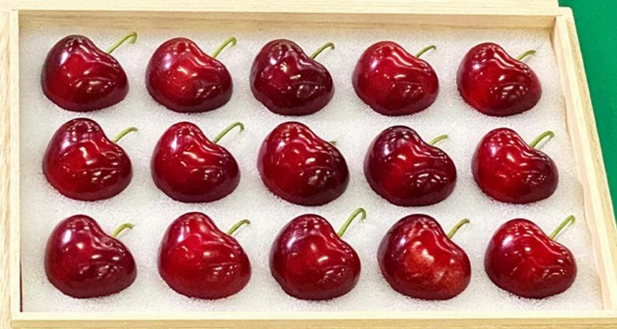 Δεν ξανάγινε: Πουλήθηκαν 15 κεράσια σπάνιας ποικιλίας για 4.100 ευρώ σπάζοντας κάθε ρεκόρ