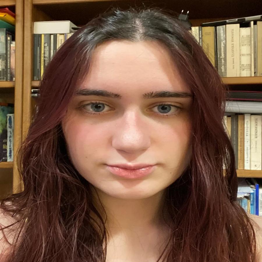 Πανελλήνιες 2022: Τα δυο δίδυμα αδέρφια που κατάφεραν να αριστεύσουν