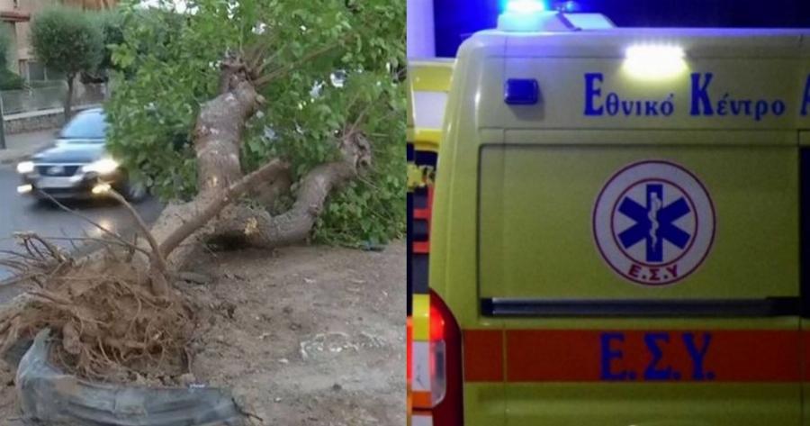 Χαλάνδρι: Φρικτό τροχαίο δυστύχημα με θύμα έναν 18χρονο