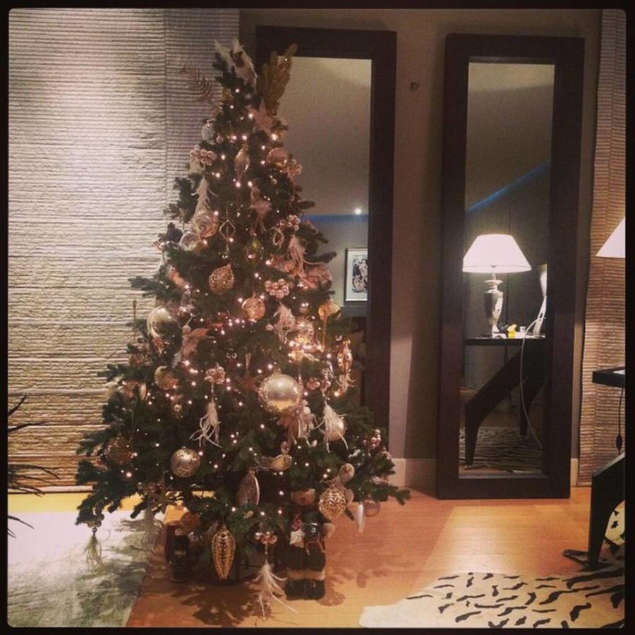 Σίσσυ Φειδά: Το απίθανο σπίτι, που θυμίζει μικρό παλάτι και το παραμυθένιο δωμάτιο της κόρης της