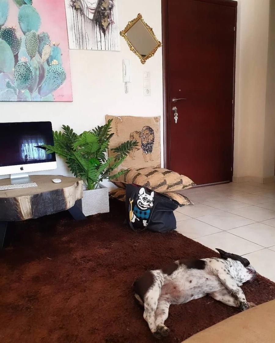 Ιωάννα Μαλέσκου: Το υπέροχο σπίτι της παρουσιάστριας στα Μελίσσια, που είναι το όνειρο κάθε γυναίκας